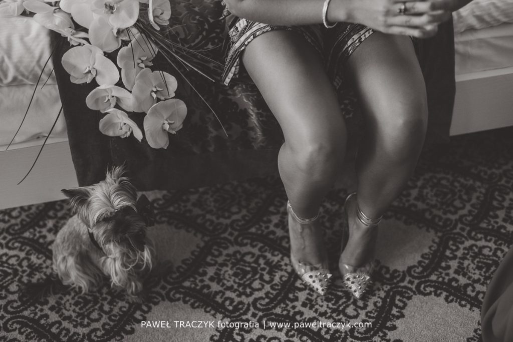 Palac Domaniowskich_fotografia slubna