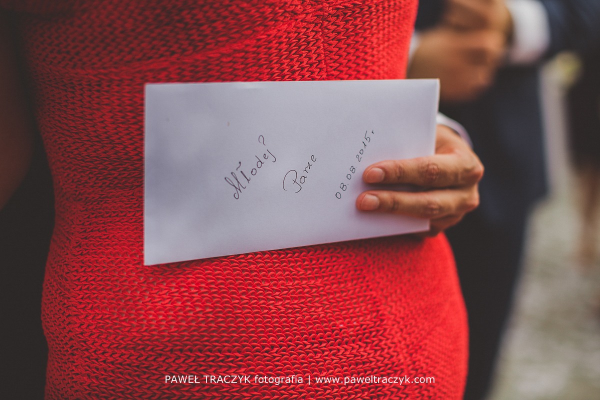 Palac Domaniowskich_fotografia slubna