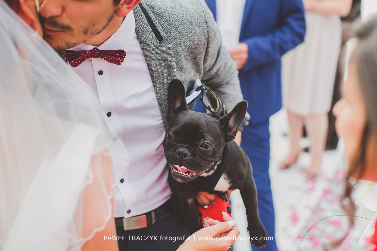 Palac Domaniowskich_fotografia slubna